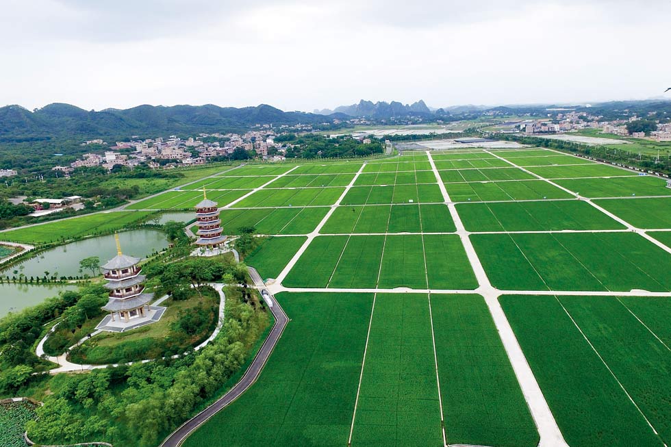 五彩田園