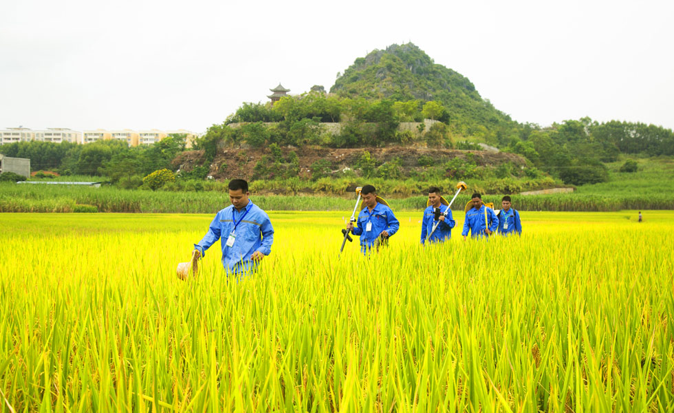 測繪技術(shù)人員走在田間地頭服務(wù)“三農(nóng)”