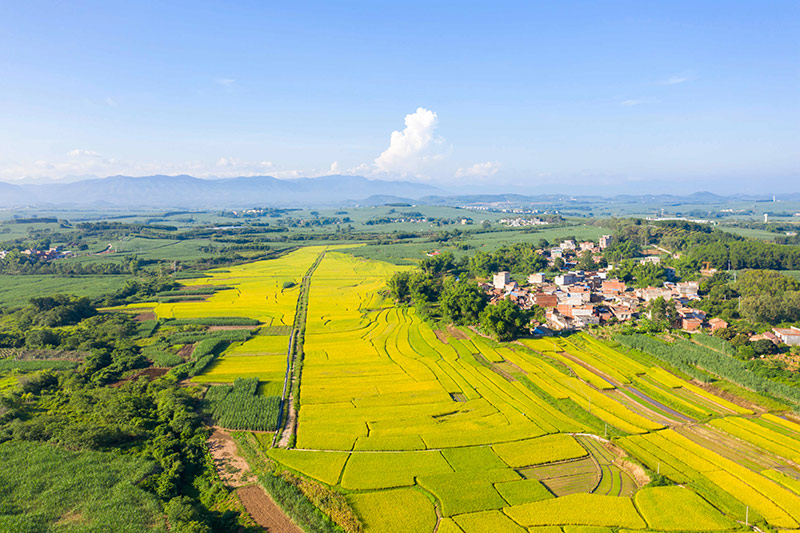 ����һƬ���S��