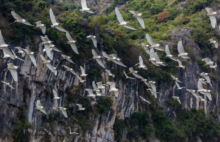 һȺ����չ�᰿����