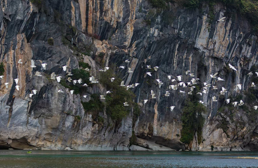 һȺ�����ڏV�����e���d�e�^(q��)�����(zh��n)�����ґ�