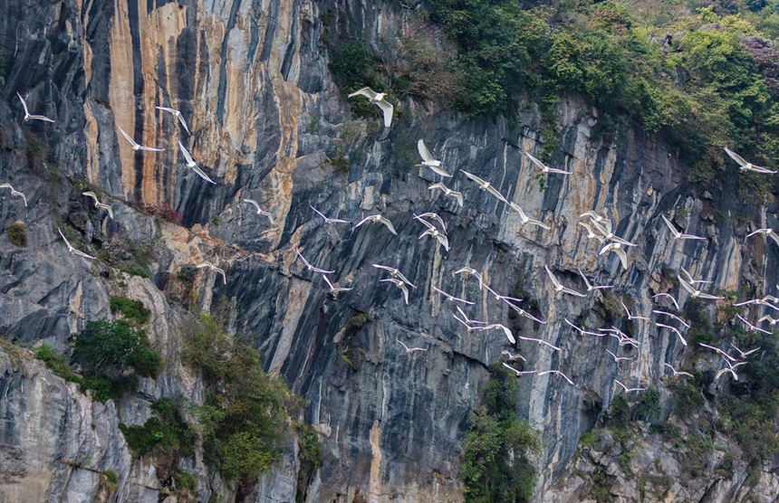 һȺ�����ڏV�����e���d�e�^(q��)�����(zh��n)�����ґ�