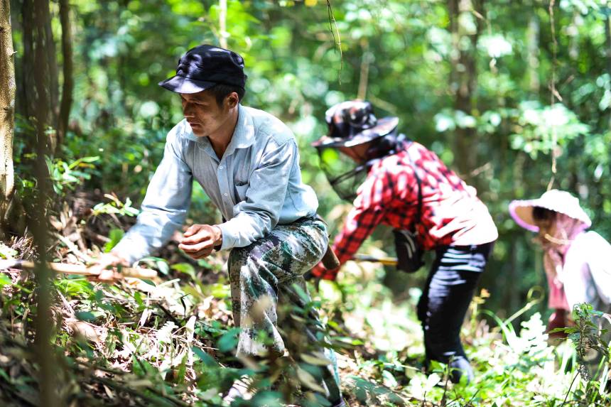 ���������M(j��n)�г������I(y��)�����㬎�����οh��ý�w���Ĺ��D