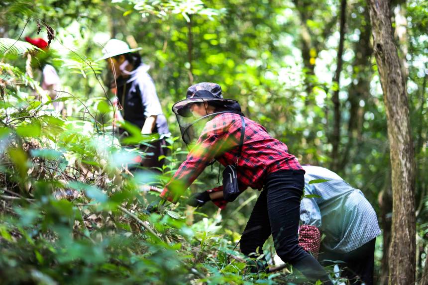 ���������M(j��n)�г������I(y��)�����㬎�����οh��ý�w���Ĺ��D