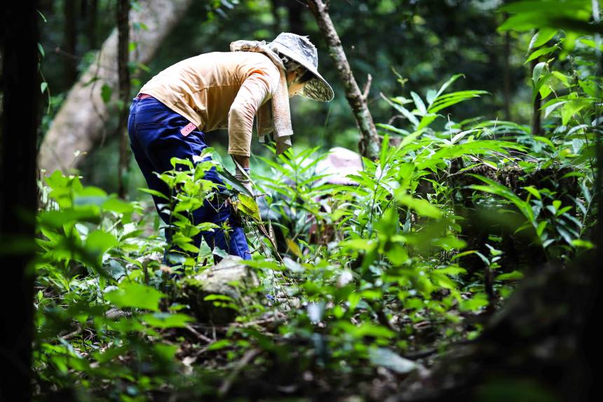 ���������M(j��n)�г������I(y��)�����㬎�����οh��ý�w���Ĺ��D