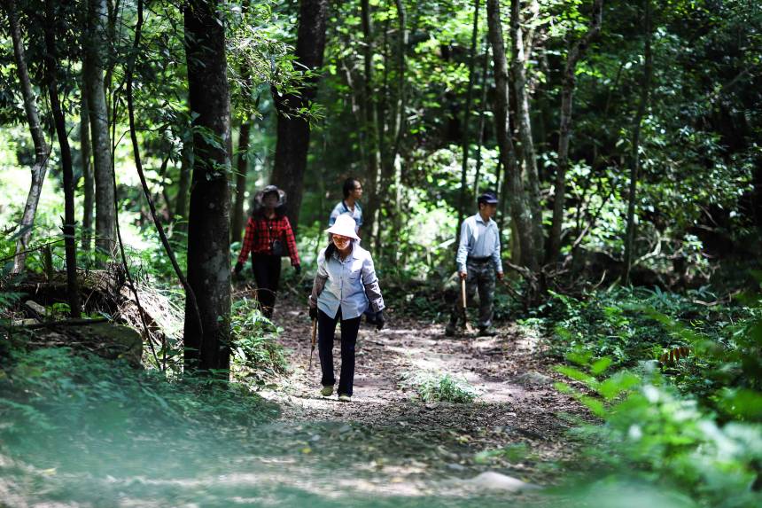 ���񂃽Y(ji��)���������Y(ji��)����w�����㬎�����οh��ý�w���Ĺ��D