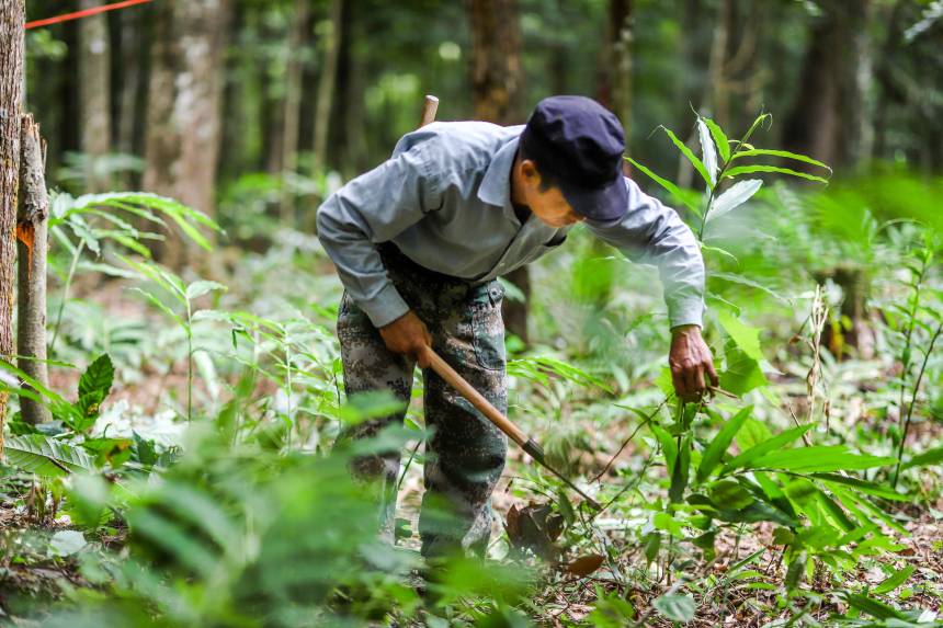 ���������M�г������I(y��)�����㬎�����οh��ý�w���Ĺ��D