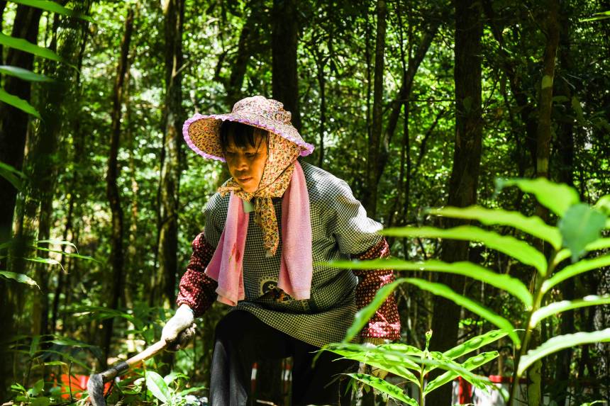 �������o�����·Nֲ���в�ˎ�������㬎�����οh��ý�w���Ĺ��D