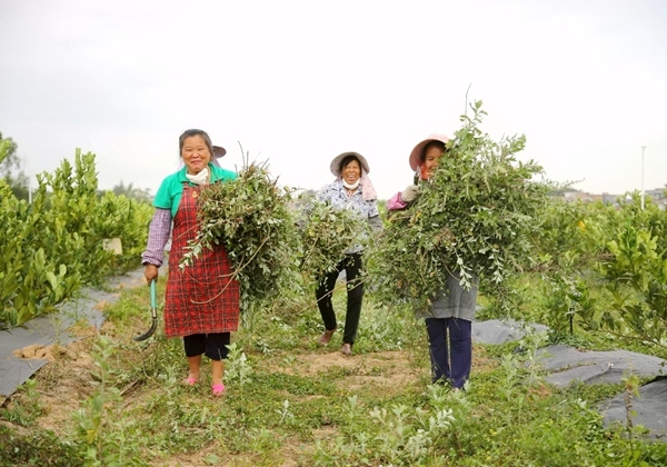 �����ո�F(xi��n)������־���z