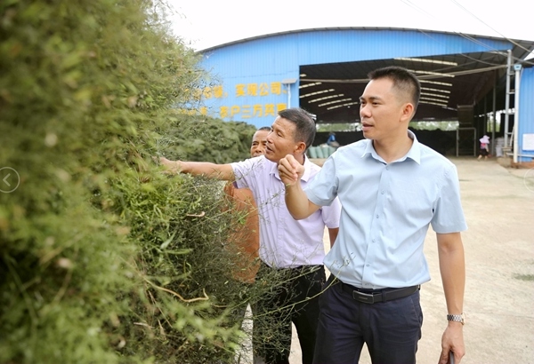 ���g(sh��)�ˆT�鿴���۴���ɏ�|(zh��)������־���z