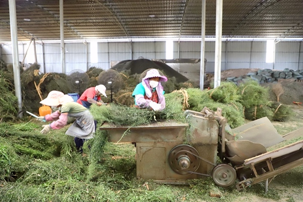 ����ɏ�ӹ��F(xi��n)�������󺽔z