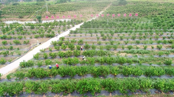 ���υ^(q��)��ˎ�Įa(ch��n)�I(y��)ʾ�����ء���־���z