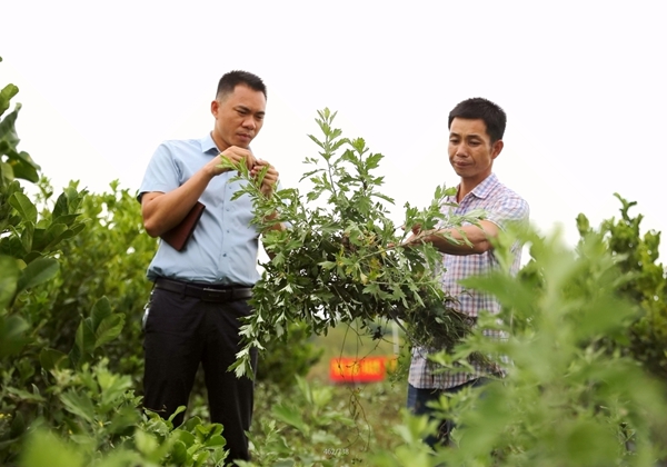 ���g(sh��)�ˆT�����g���^�鿴�������L(zh��ng)��r����־���z