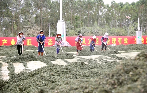 �r(n��ng)��������ɏ����־���z