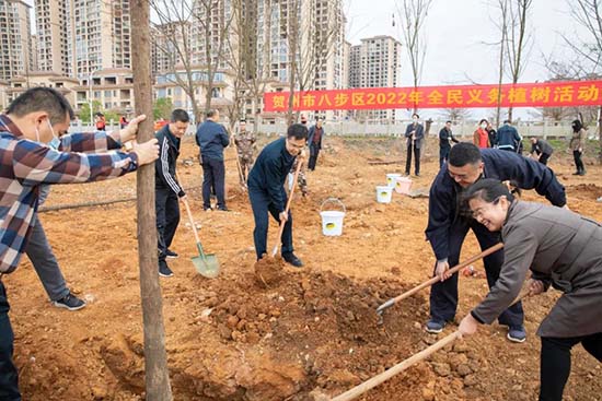 八步區(qū)四家班子領導開展義務植樹和水利設施建設活動