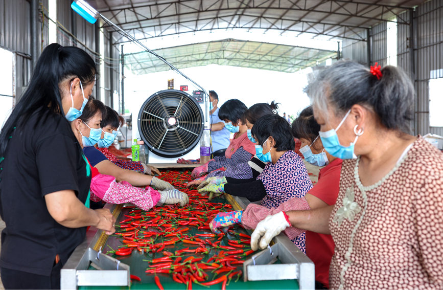 ���������x����������z