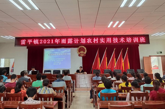 大新縣雷平鎮(zhèn)開展農(nóng)業(yè)技術(shù)培訓班。