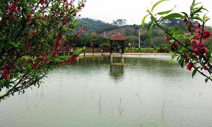 良田村一景。浦北縣委宣傳部供圖