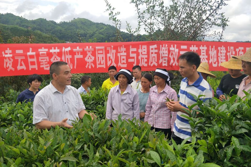 科技特派員開展技術(shù)培訓(xùn)。