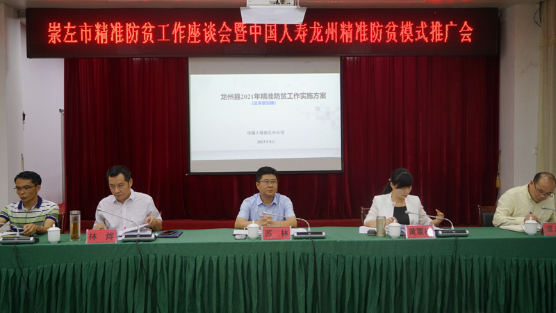 龍州項目推廣啟動會。