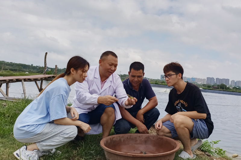 北部灣大學(xué)方懷義科研團(tuán)隊(duì)在觀察對蝦生長情況。