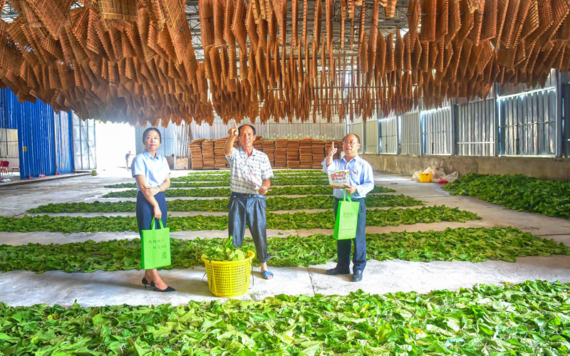 蒙山縣支行客戶經(jīng)理到養(yǎng)蠶大戶宣傳惠農(nóng)E貸、農(nóng)戶建檔。