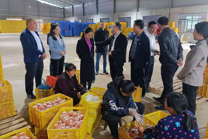圖為蓮花供銷社地頭冷庫農(nóng)產(chǎn)品加工現(xiàn)場