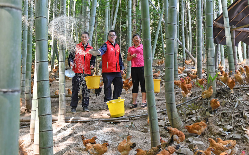 仁溪村種養(yǎng)合作社。