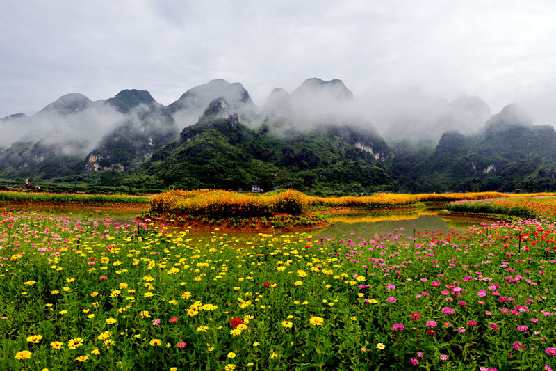 田東縣龍?zhí)鹅`湖花海。