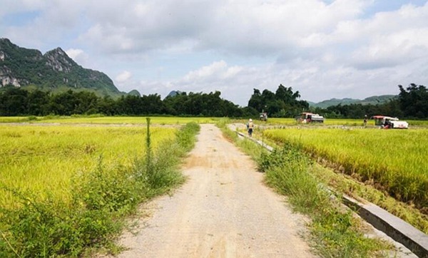 路相通渠相連