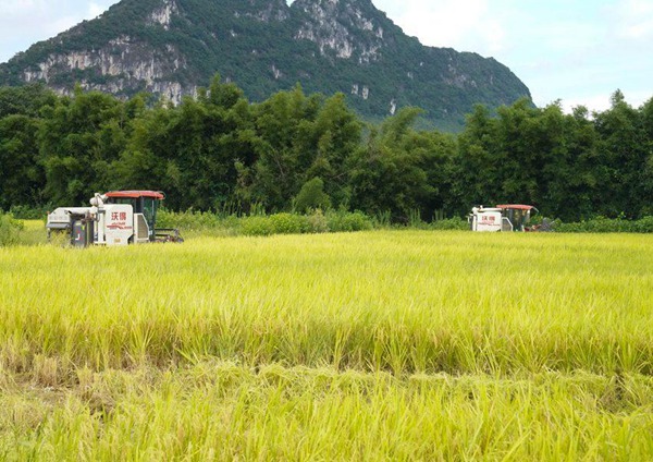 收割機作業(yè)