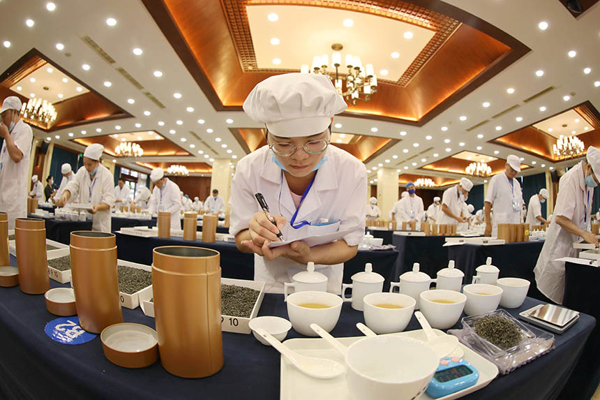 一名參賽選手在參加精制篩號茶拼配比賽。龔普康攝