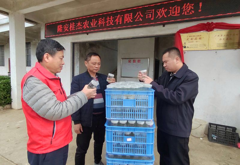 1典型展播-2022年1月6日李力至隆安桂杰農(nóng)業(yè)科技有限公司的中藥材良種繁育基地開展技術(shù)服務(wù)工作。