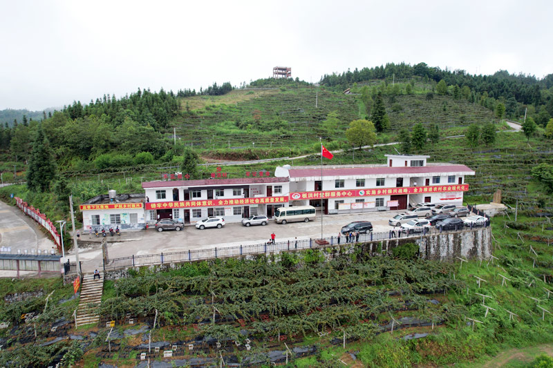 板洪村村部。