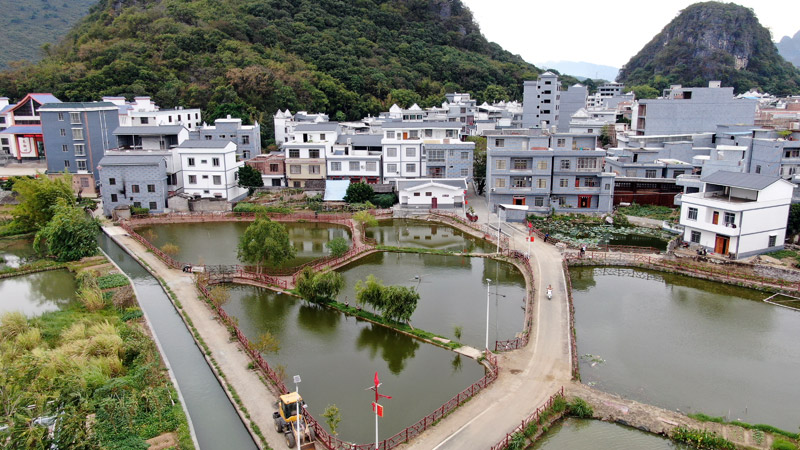清塘鎮(zhèn)英家村風貌改造后。