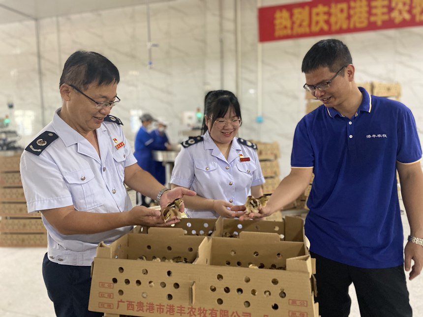 貴港市港北區(qū)稅務(wù)局干部到廣西貴港市港豐農(nóng)牧有限公司了解經(jīng)營情況，宣傳農(nóng)業(yè)稅惠政策，為村民致富、為農(nóng)企發(fā)展、為鄉(xiāng)村振興貢獻(xiàn)稅務(wù)力量。