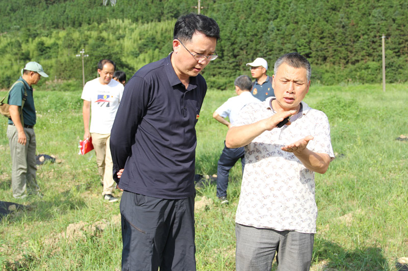 2021年6月17日，廣西藥用植物園黨委副書記、主任張占江（前排左一）在田間與種植戶進行交流。