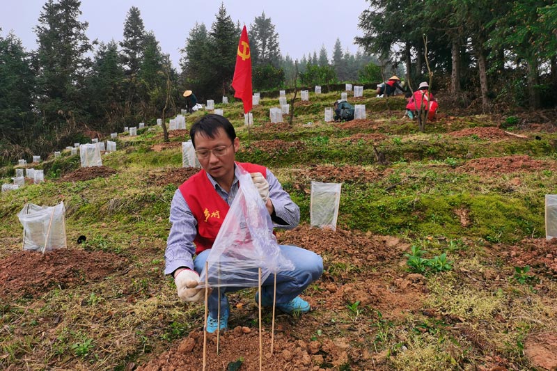 廣西藥用植物園駐獨鏡村第一書記陳高帶頭開荒，建起獨鏡村羅漢果產(chǎn)業(yè)基地。