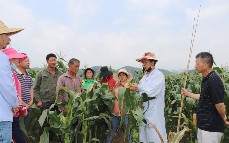 專家和種植戶交流、開展技術(shù)指導。