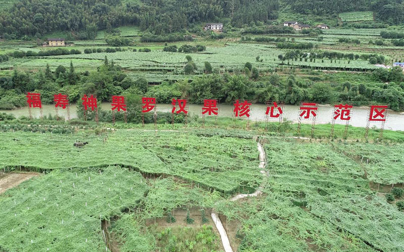 福壽神果羅漢果產(chǎn)業(yè)核心示范區(qū)。