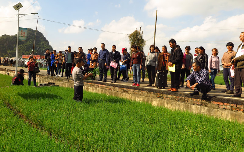 蔬菜種植大戶開展技術(shù)指導(dǎo)。