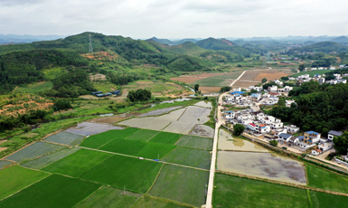 柳州市魚峰區(qū)白沙鎮(zhèn)王眉村