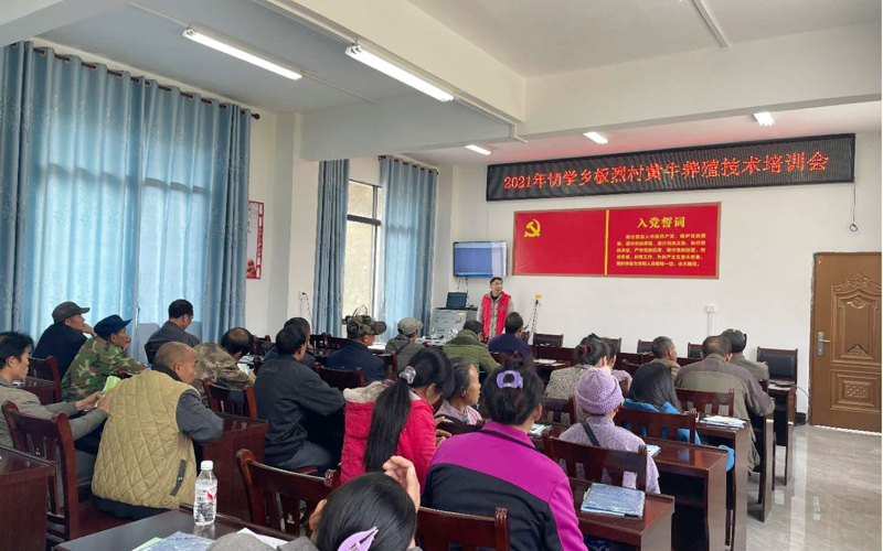 鄉(xiāng)村振興科技特派員韋鳳梅在東蘭縣切學(xué)鄉(xiāng)板烈村開展黃牛養(yǎng)殖技術(shù)培訓(xùn)會(huì)。