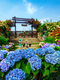 桂林市七星區(qū)華僑旅游經(jīng)濟區(qū)竹江村