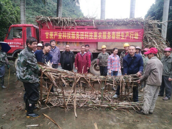 馬文清在為村民贈(zèng)送蔗種。
