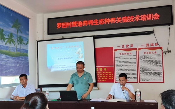 馬文清開(kāi)展蔗地生態(tài)養(yǎng)鴨技術(shù)培訓(xùn)。