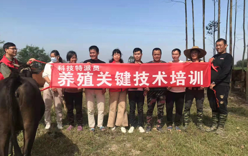 培訓(xùn)現(xiàn)場(chǎng)。