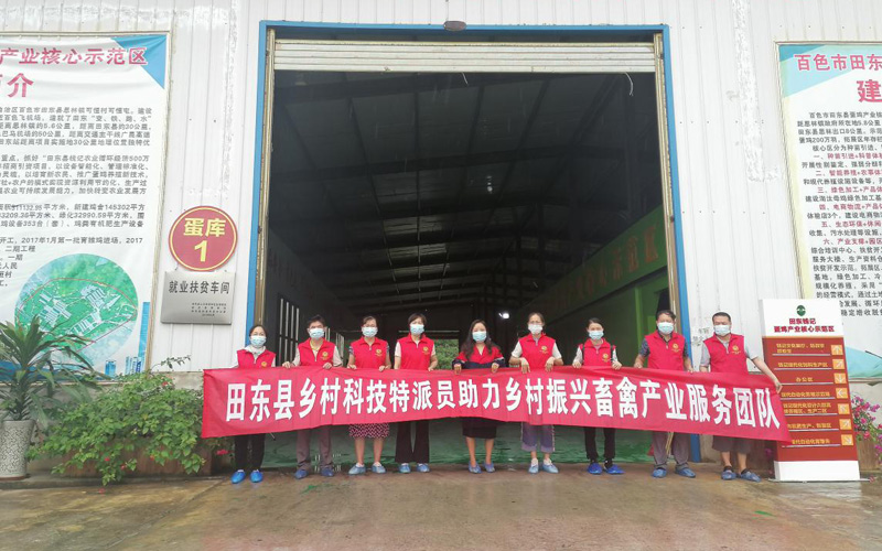 技術(shù)團(tuán)隊(duì)到田東錢(qián)記蛋雞養(yǎng)殖基地開(kāi)展技術(shù)服務(wù)。