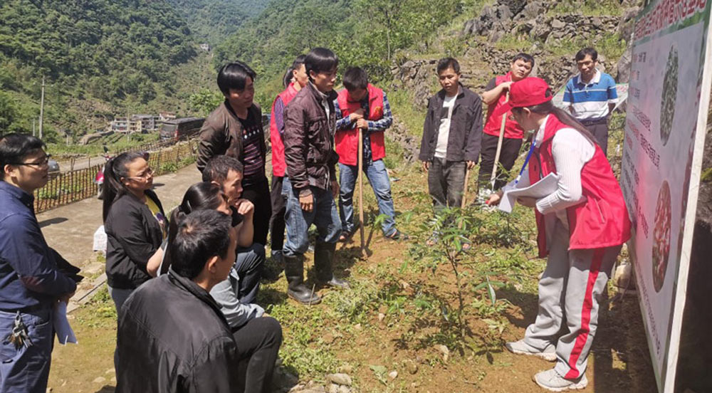 東蘭縣科技特派員科技助力鄉(xiāng)村振興自2003年廣西開展科技特派員工作以來，東蘭縣科技局先后選派出科技特派員258人次，重點(diǎn)圍繞畜禽、水產(chǎn)品、蔬菜、林果、糧食、中藥材、特色農(nóng)業(yè)及農(nóng)產(chǎn)品加工等特色產(chǎn)業(yè)發(fā)展。