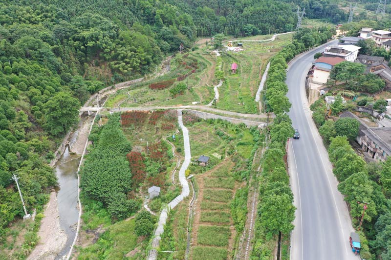 國道241線旁擴建中海棠灣玫瑰園  秦中秋攝